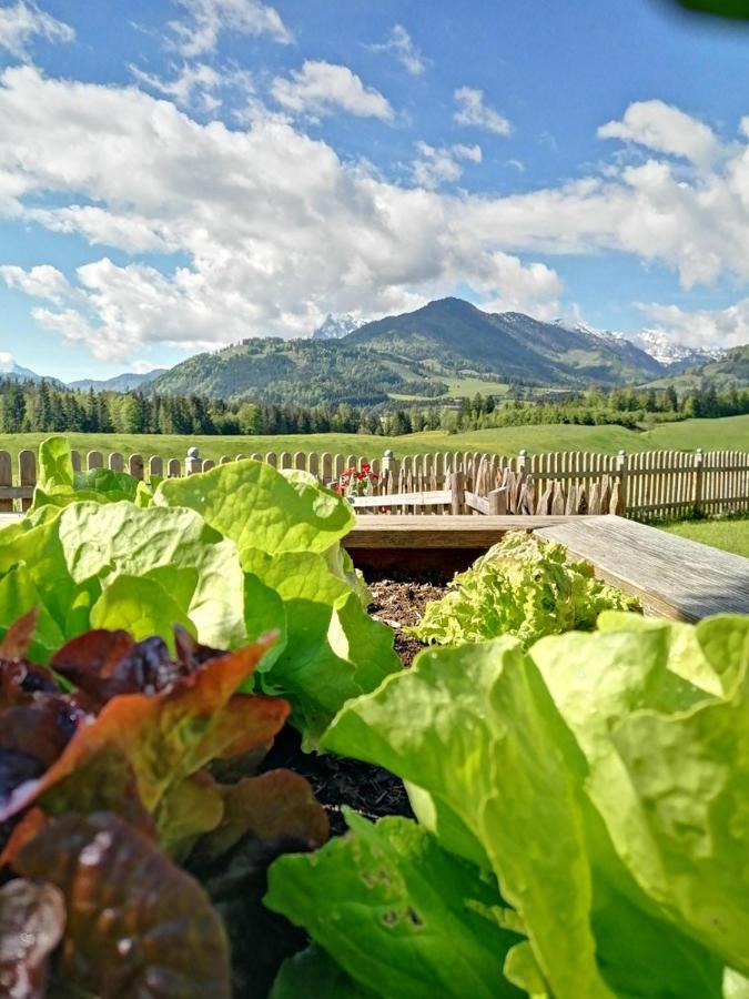Landhaus Bergblick Kössen Esterno foto