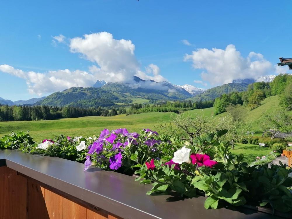 Landhaus Bergblick Kössen Esterno foto